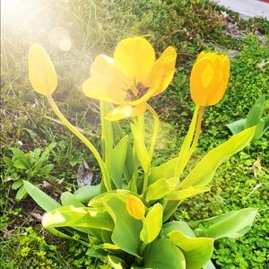 Meet your Posher, Mandy